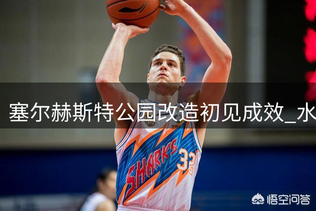 塞尔赫斯特公园改造初见成效 水晶宫迎首战现场观感将不同